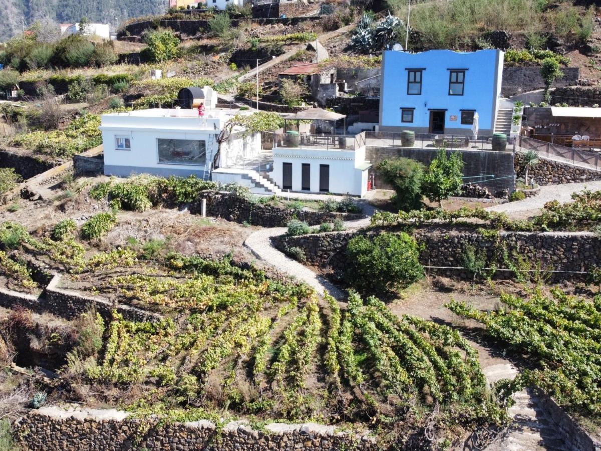 Ek Teide Finca El Milagro لا أوروتافا المظهر الخارجي الصورة