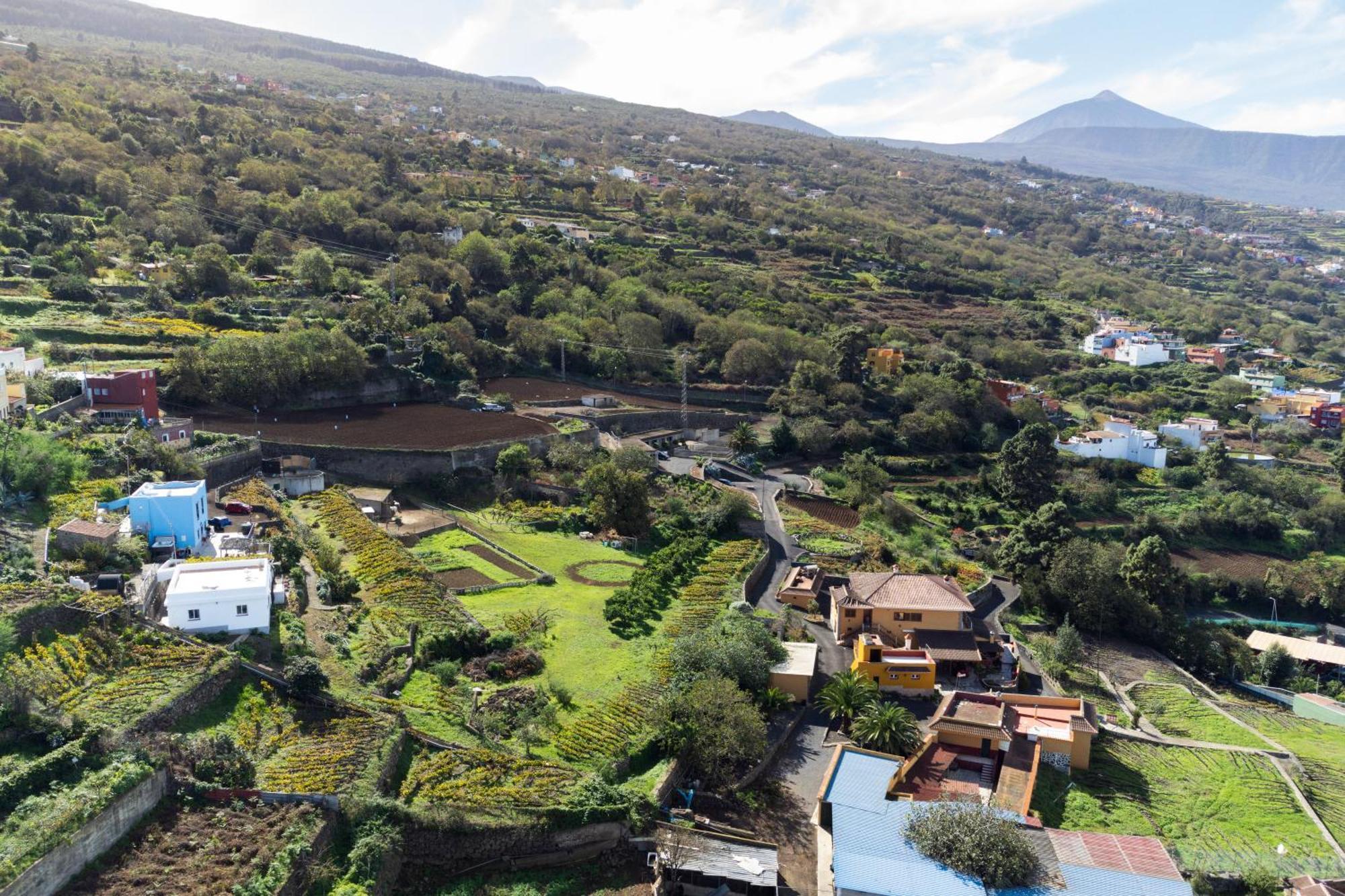 Ek Teide Finca El Milagro لا أوروتافا المظهر الخارجي الصورة