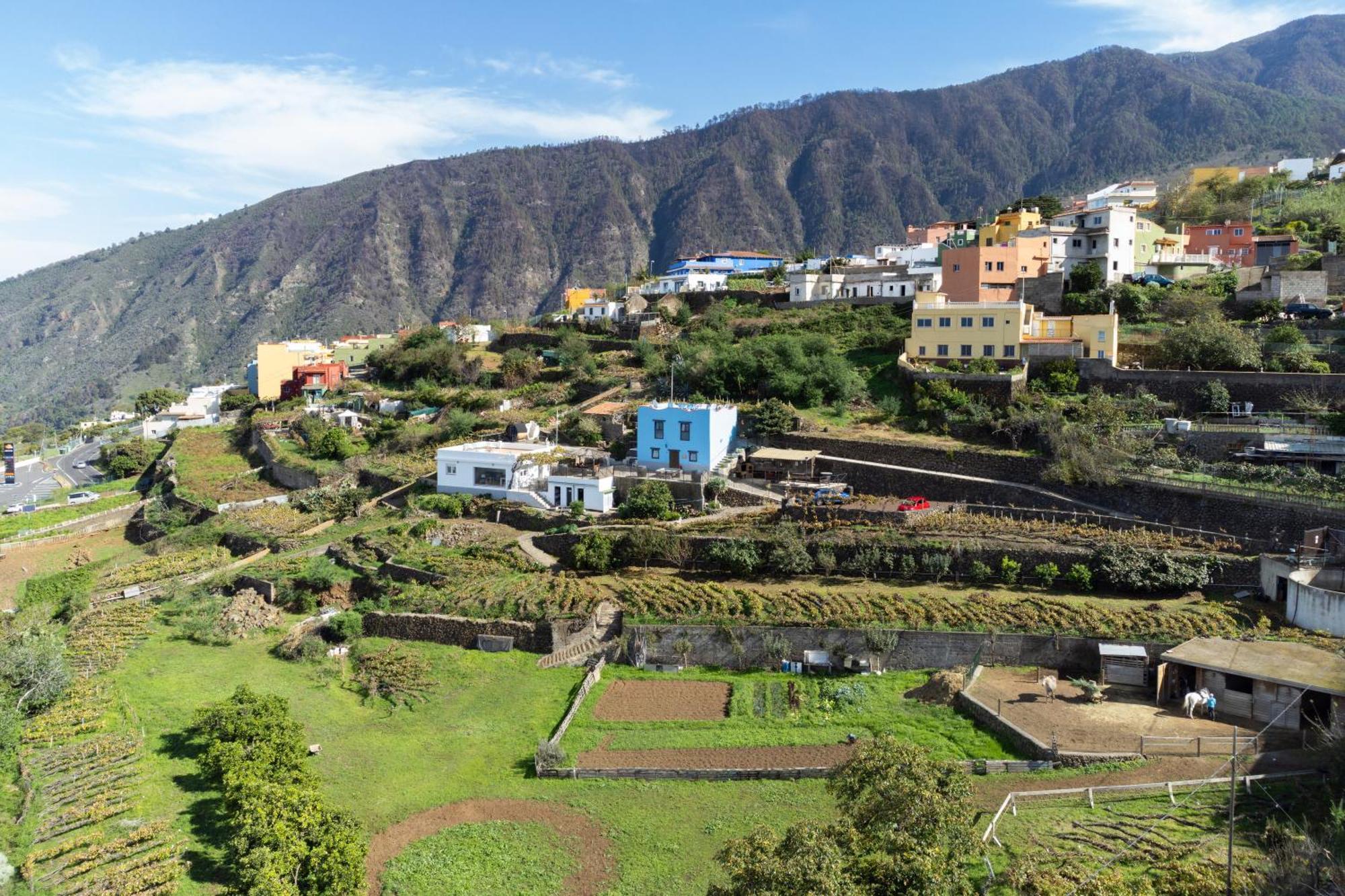 Ek Teide Finca El Milagro لا أوروتافا المظهر الخارجي الصورة