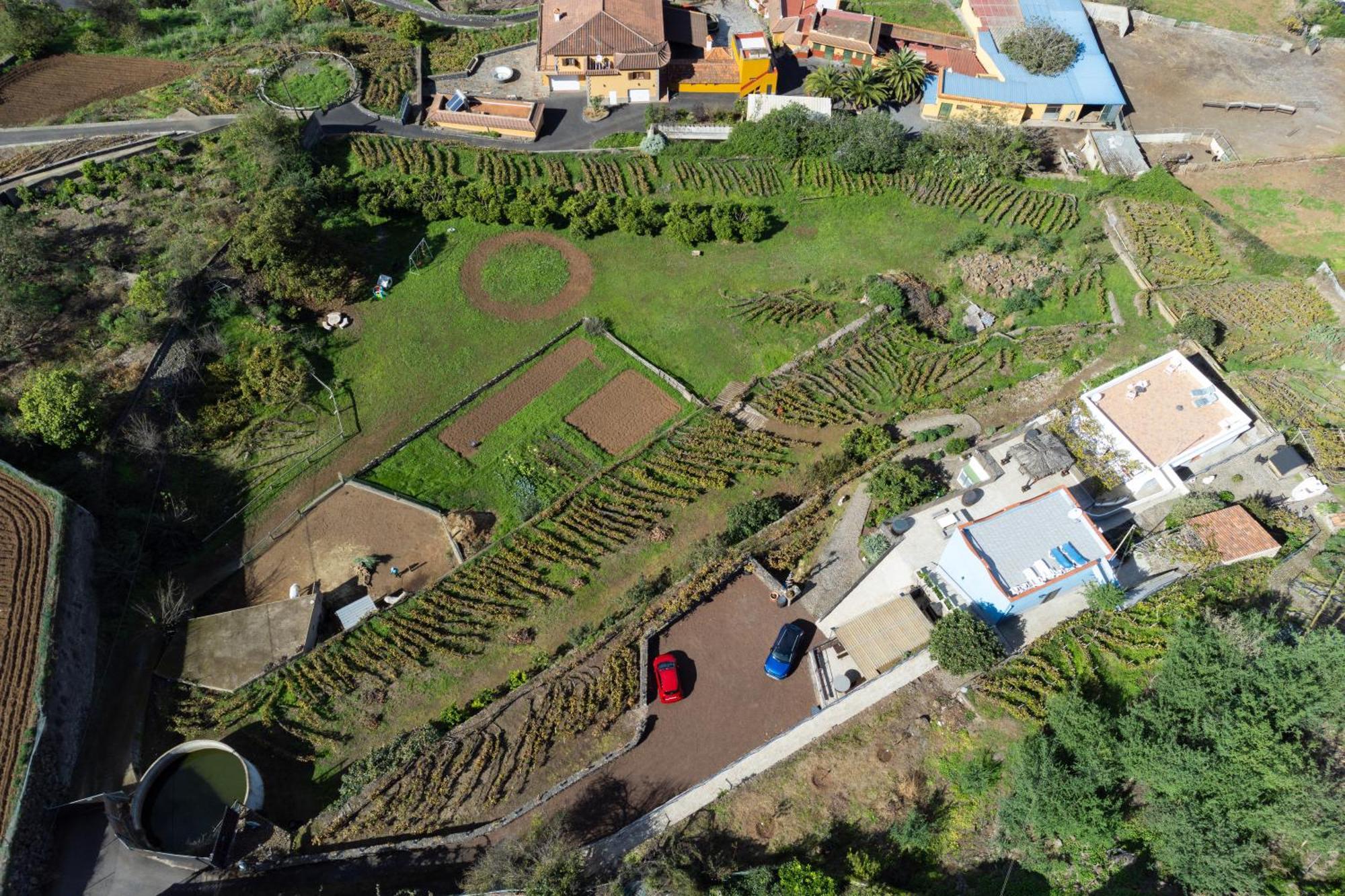 Ek Teide Finca El Milagro لا أوروتافا المظهر الخارجي الصورة