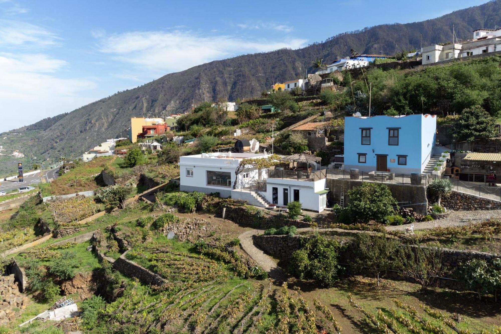 Ek Teide Finca El Milagro لا أوروتافا المظهر الخارجي الصورة
