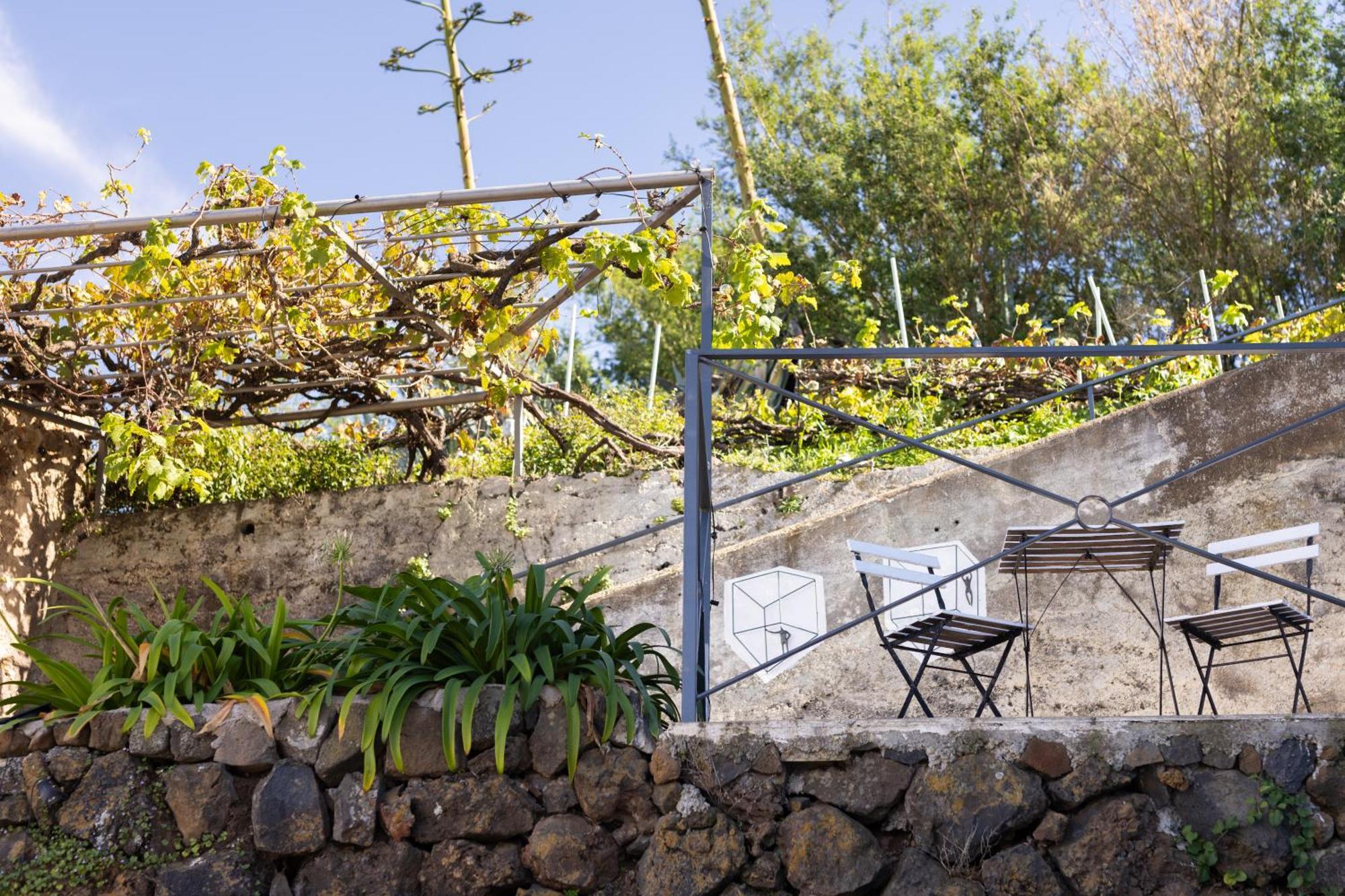 Ek Teide Finca El Milagro لا أوروتافا المظهر الخارجي الصورة