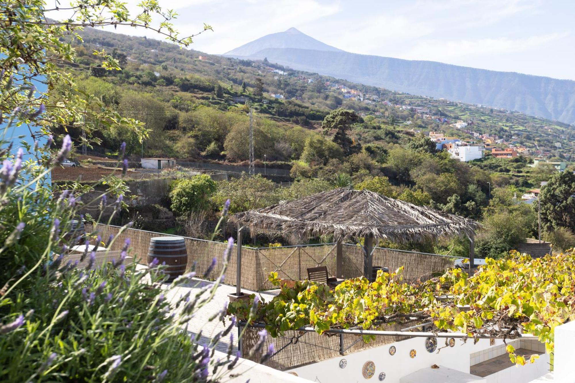 Ek Teide Finca El Milagro لا أوروتافا المظهر الخارجي الصورة