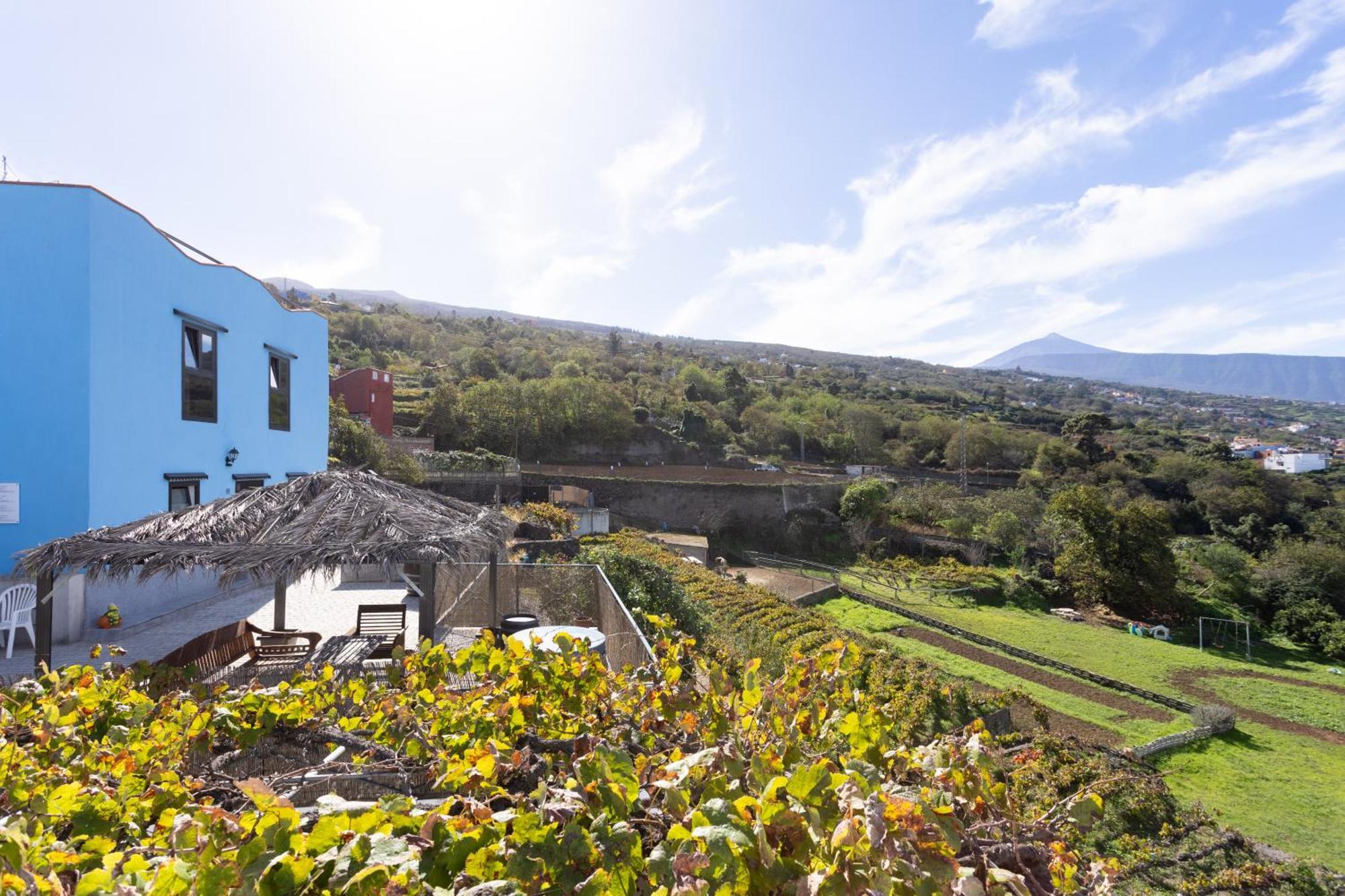 Ek Teide Finca El Milagro لا أوروتافا المظهر الخارجي الصورة