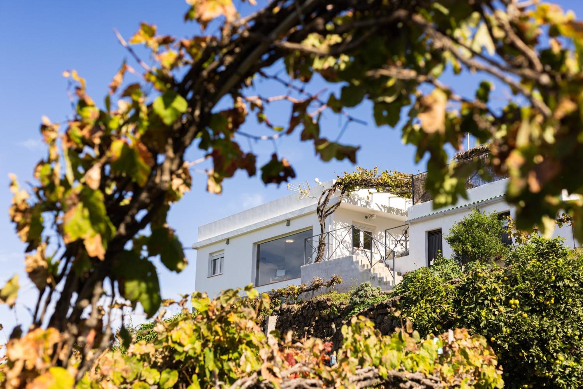Ek Teide Finca El Milagro لا أوروتافا المظهر الخارجي الصورة